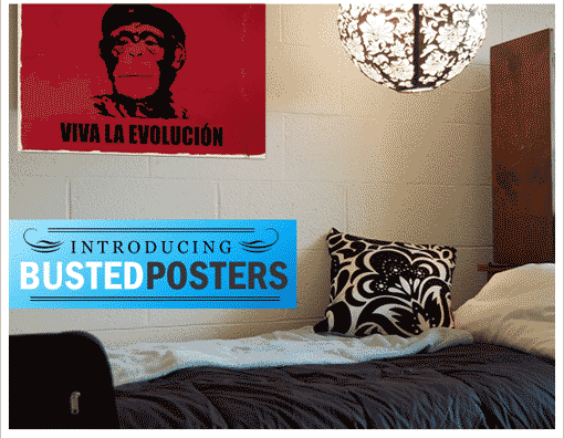Poll: Busted Tees Posters