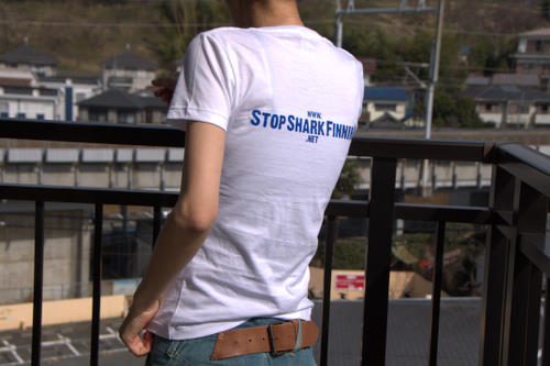 Stop Shark Finning url back print