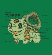 BULBASAUR ANATOMY