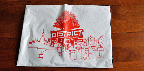 District Roots Mailer