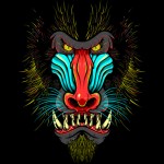 The Baboon